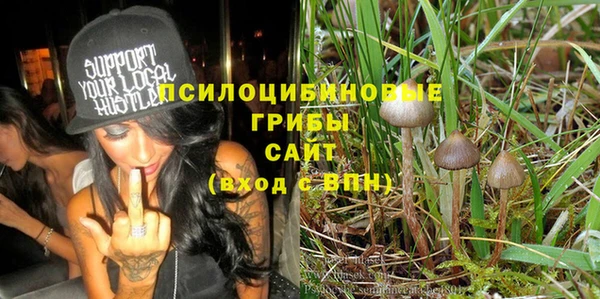 ПСИЛОЦИБИНОВЫЕ ГРИБЫ Баксан