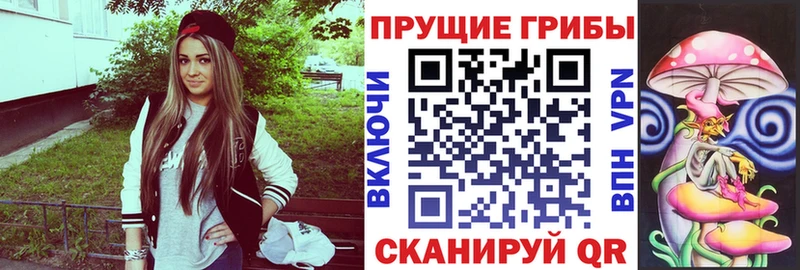 hydra сайт  Лениногорск  Галлюциногенные грибы MAGIC MUSHROOMS  купить  