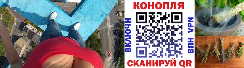 Каннабис план  Лениногорск 